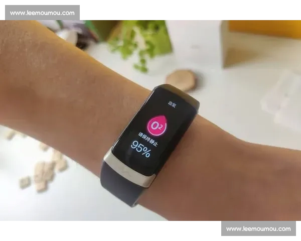 全新体育APP下载体验助你轻松掌握运动数据与健康管理